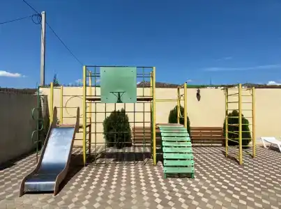 Дельфиниум - 5