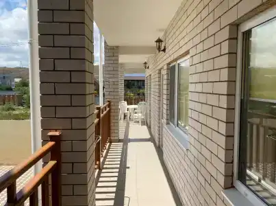 Дельфиниум - 13