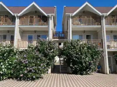 Дельфиниум - 15