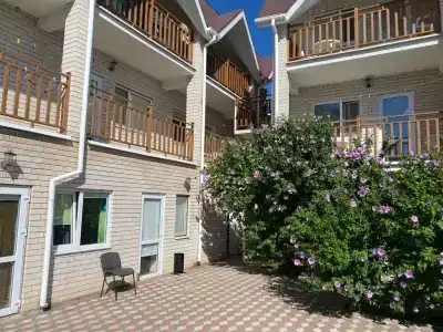 Дельфиниум - 18