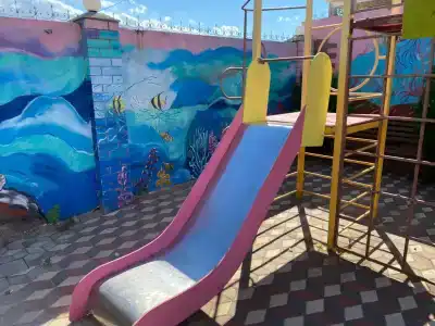 Дельфиниум - 19