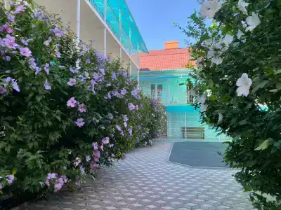 Дельфиниум - 20