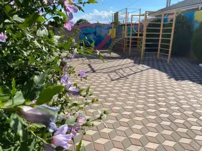 Дельфиниум - 21