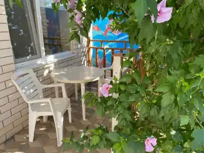 Дельфиниум - 22