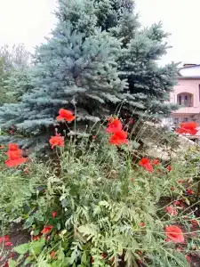 Это Лето - 11