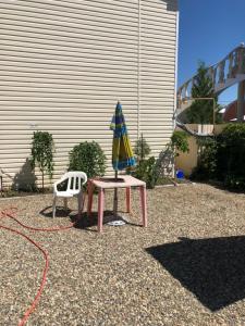 Светлана на Вишневом - 14