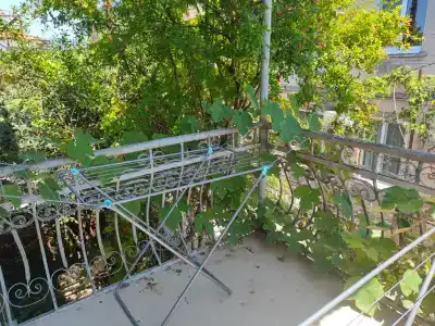 Винчис - 5