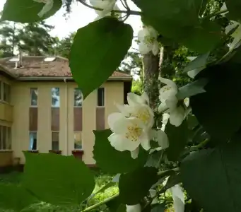 Гостевой дом на Королева 15А - 5