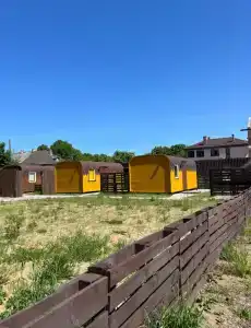 Янтарный Кедр - 18