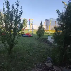 Жемчужина - 40
