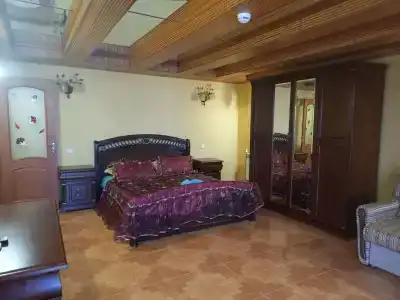 Астра - 149