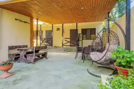 Novella - 0