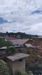 Мускат - 11