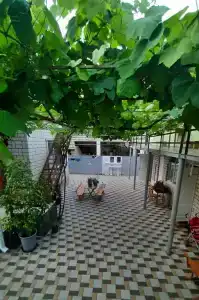 У Иваныча - 0