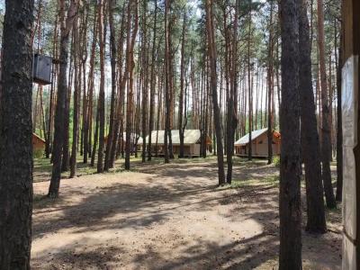 Кемпинг Красные Кусты - 18