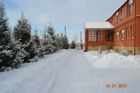 Дружба - 3