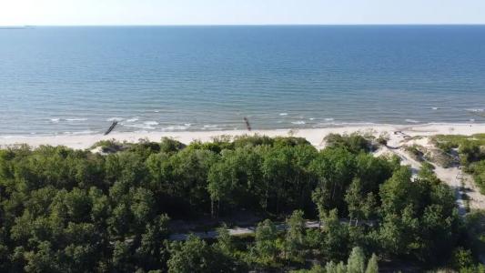 Янтарик - 8