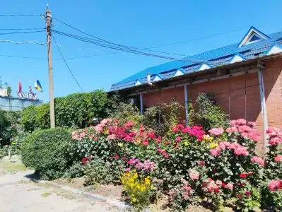 Мираж Донская кухня - 3