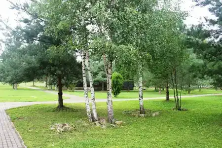 На Чеснаве - 40
