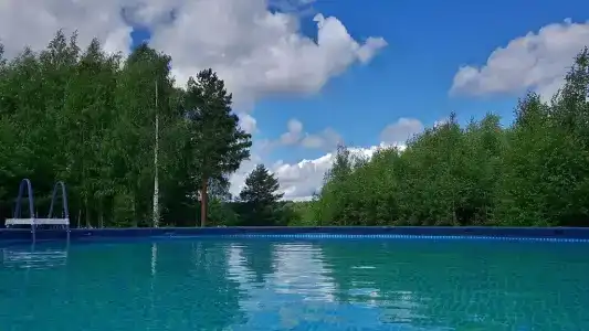 На Чеснаве - 11