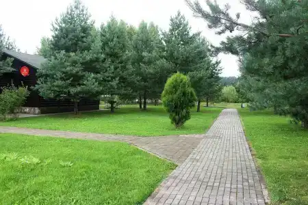 На Чеснаве - 42
