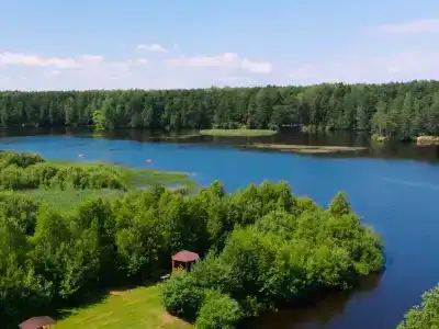 На Чеснаве - 84
