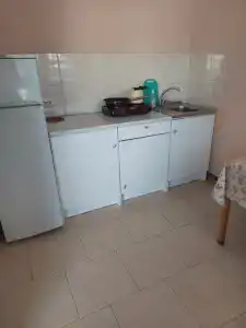 У тёти Жени - 2