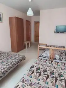 У тёти Жени - 4