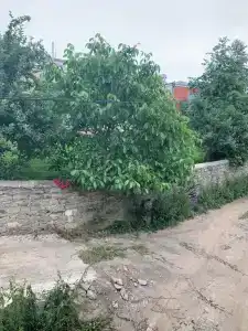 Очаг - 14