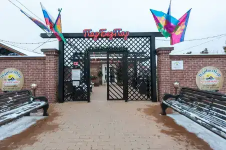 ПарБезПар - 6