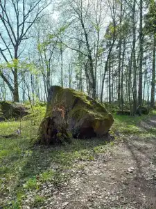 Нобельский Мыс - 4
