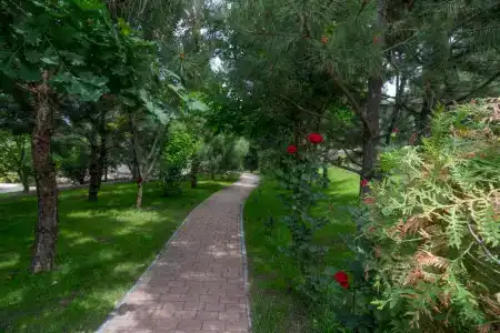 Качинская - 31
