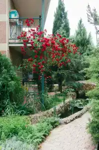 Качинская - 6