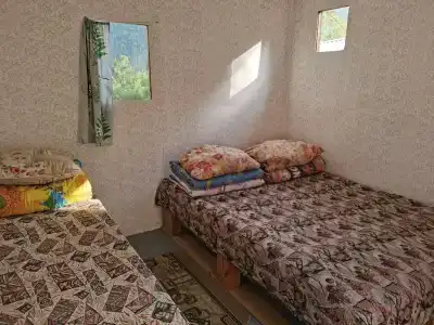 Кедровый берег - 6