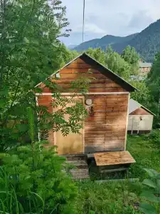 Кедровый берег - 7
