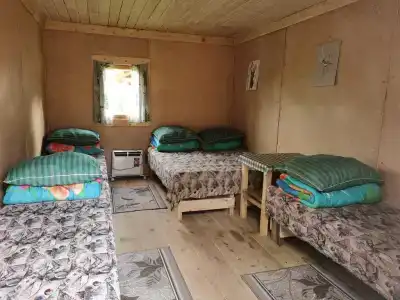 Кедровый берег - 8