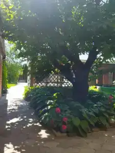 Гостевой дом на Привокзальной 35 - 5