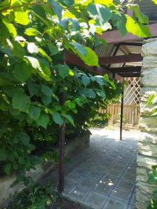 Гостевой дом на Привокзальной 35 - 9