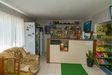 Дельфин на Нагорной - 2