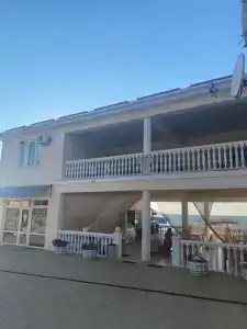 Пальмира - 7