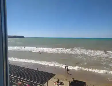 Пальмира - 11