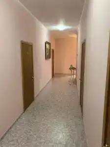Грация на Тюльпанов - 1