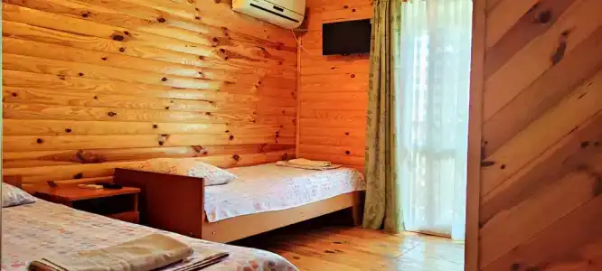 Мята - 113
