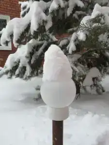 Дарина - 6