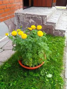 Дарина - 16