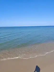 Янтарик - 22