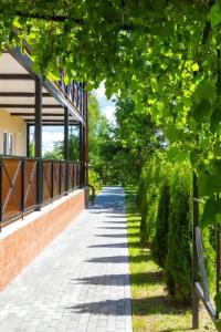 GreenHouse - 41