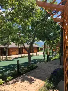 Династия - 8