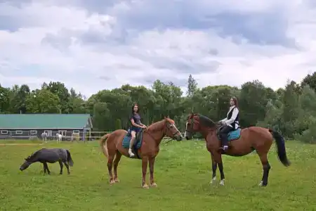 Голицыно - 30