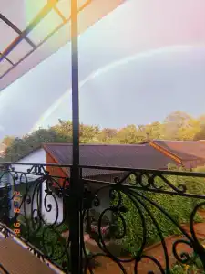 Флора - 2